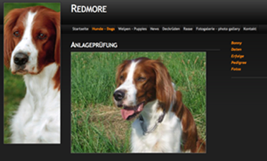 Redmore.at